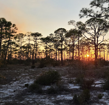 St George Island State Park