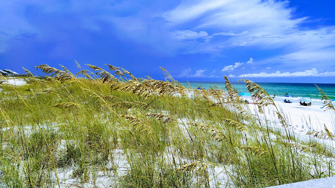 Henderson Beach State Park Dunes